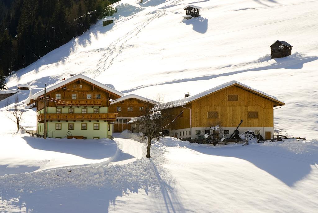 Ferienwohnung Kleinellmauhof Großarl Exterior foto
